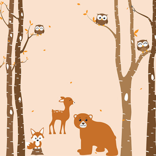 Foto tapete Forest